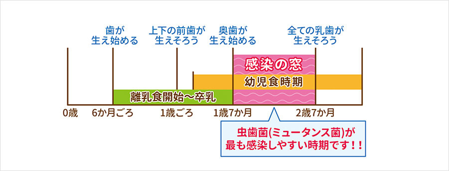 歯医者へ通い始めるタイミング​